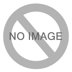 Loading image ...